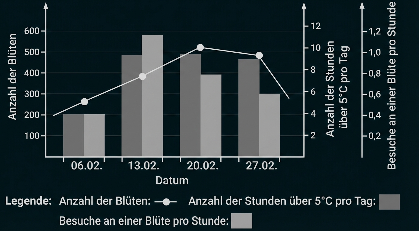 Diagramm: Balken und Linie zeigen Blütenzahl, Stunden über 5°C und Besuche pro Blüte an verschiedenen Februar-Daten.